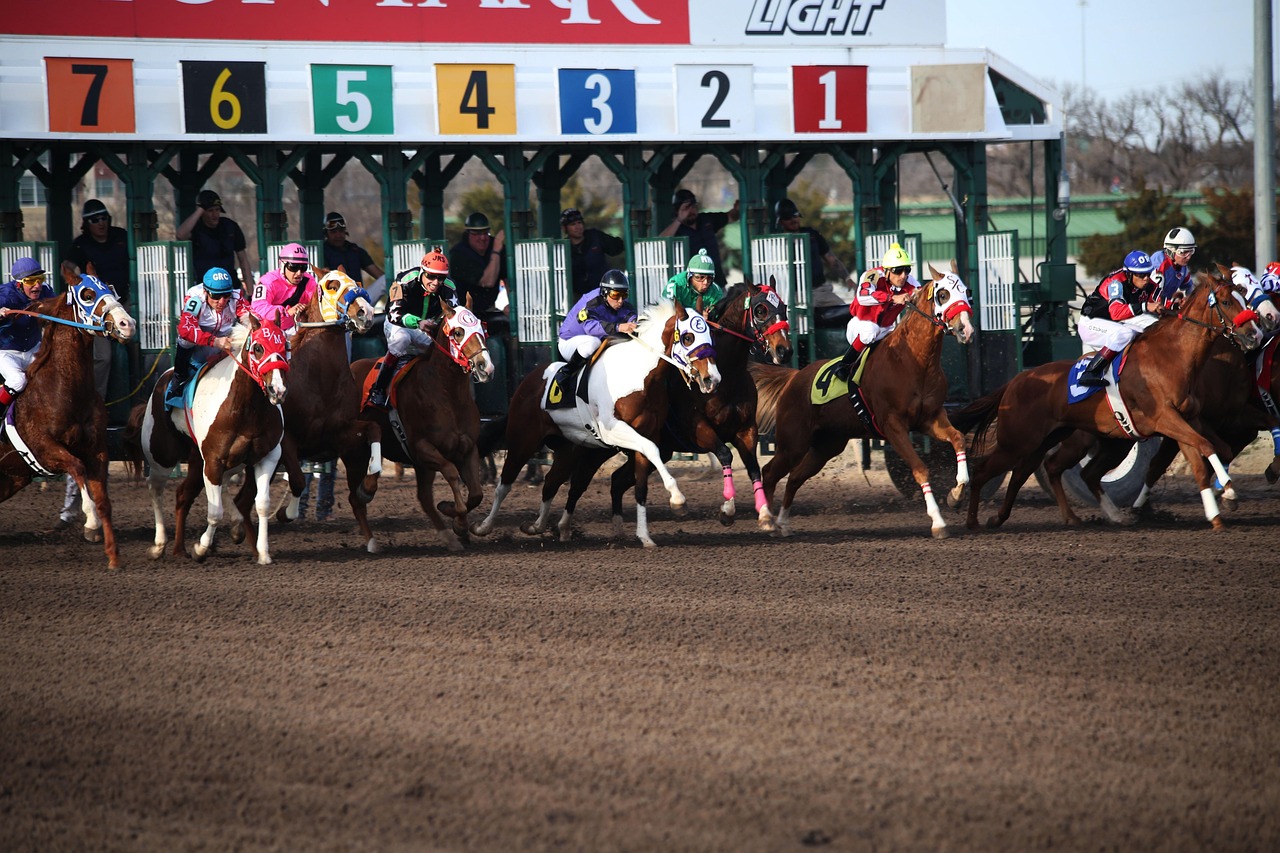 Best Odds for Horse Racing Login: Step-by-Step Guide for India (2026)