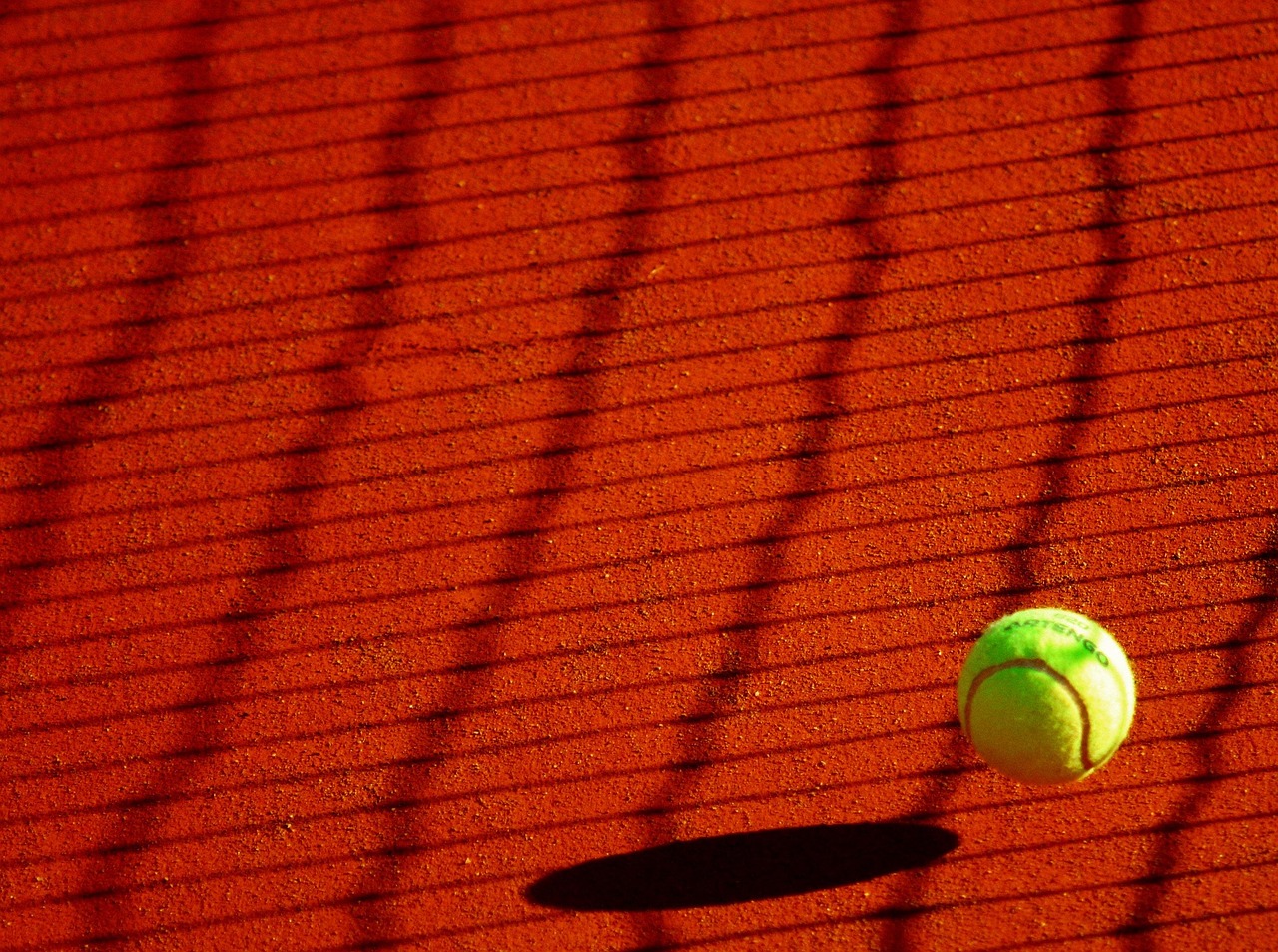 When to Real Money Betting on Sports Review 2027: Bonus, App, Withdrawal Tested